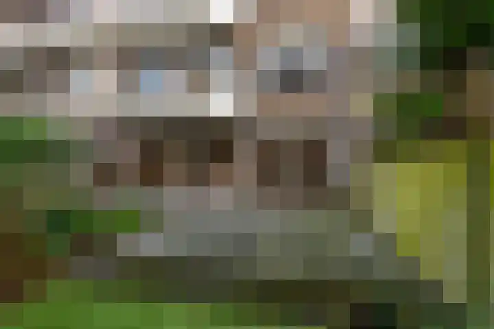 Carel Reinierszkade 315 Den Haag thumbnail 5