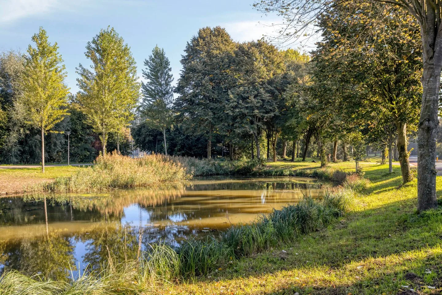 Carel van Manderdreef 11 Oosterhout thumbnail 35