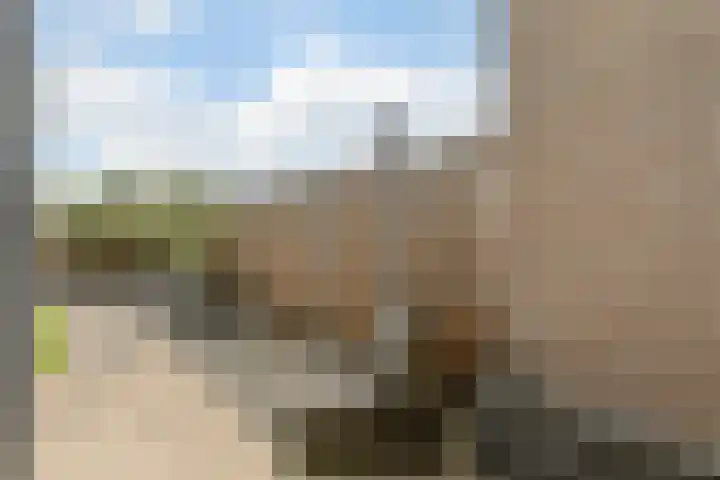 Carel van Manderdreef 18 Oosterhout thumbnail 24