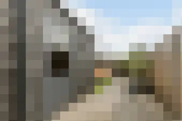 Carel van Manderdreef 18 Oosterhout thumbnail 25
