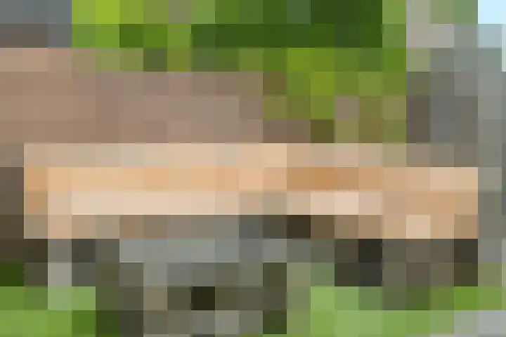 Carel van Manderdreef 18 Oosterhout thumbnail 26