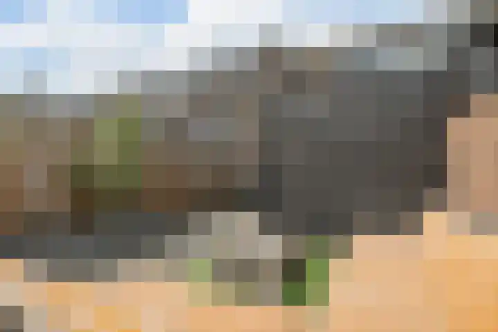 Carel van Manderdreef 18 Oosterhout thumbnail 27