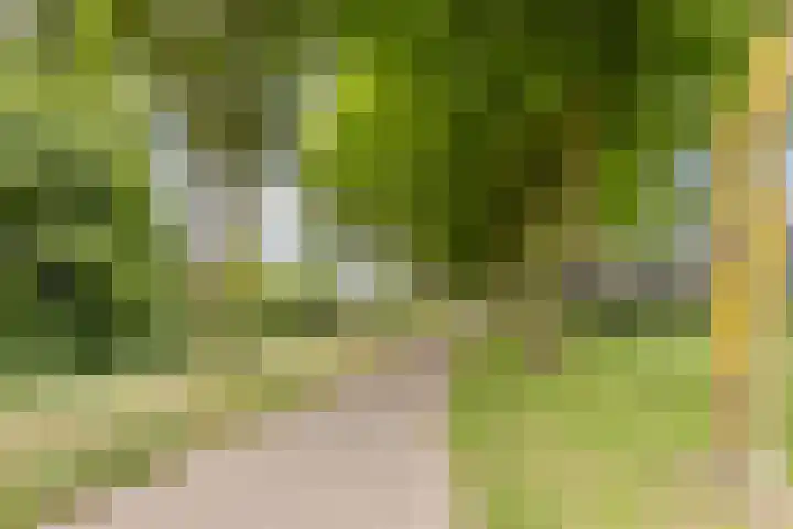 Carel van Manderdreef 18 Oosterhout thumbnail 34