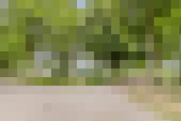 Carel van Manderdreef 18 Oosterhout thumbnail 35