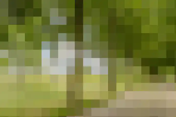 Carel van Manderdreef 18 Oosterhout thumbnail 36