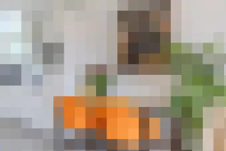 Carel van Manderdreef 18 Oosterhout thumbnail 6
