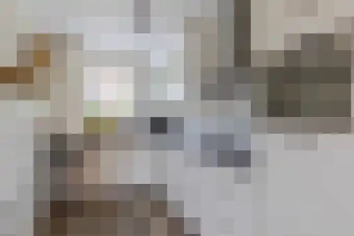 Carel van Manderdreef 18 Oosterhout thumbnail 8