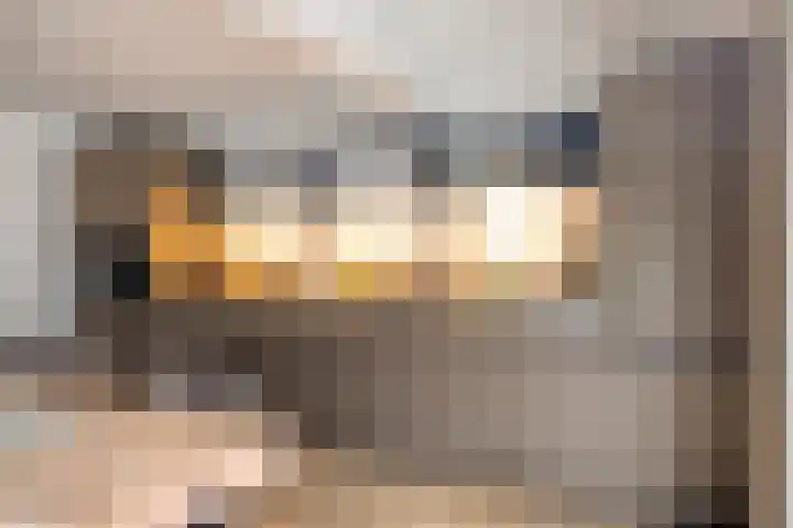 Carel van Manderdreef 32 Oosterhout thumbnail 12