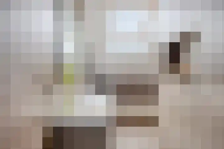 Carel van Manderdreef 32 Oosterhout thumbnail 26