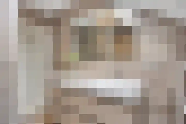 Carel van Manderdreef 32 Oosterhout thumbnail 28