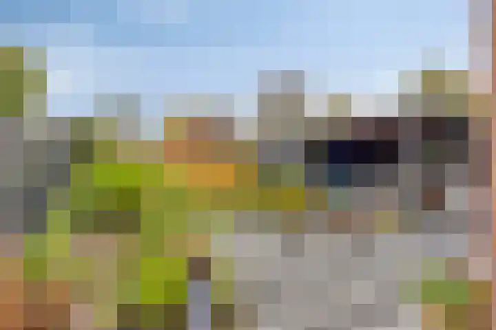 Carel van Manderdreef 32 Oosterhout thumbnail 33