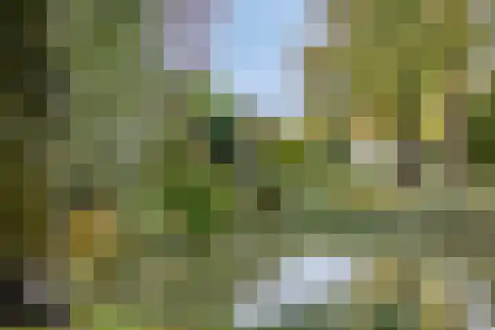Carel van Manderdreef 32 Oosterhout thumbnail 41