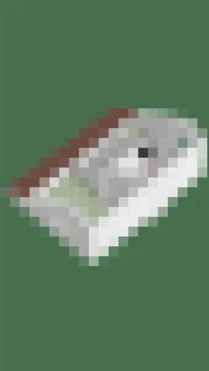 Carel van Manderdreef 32 Oosterhout thumbnail 47