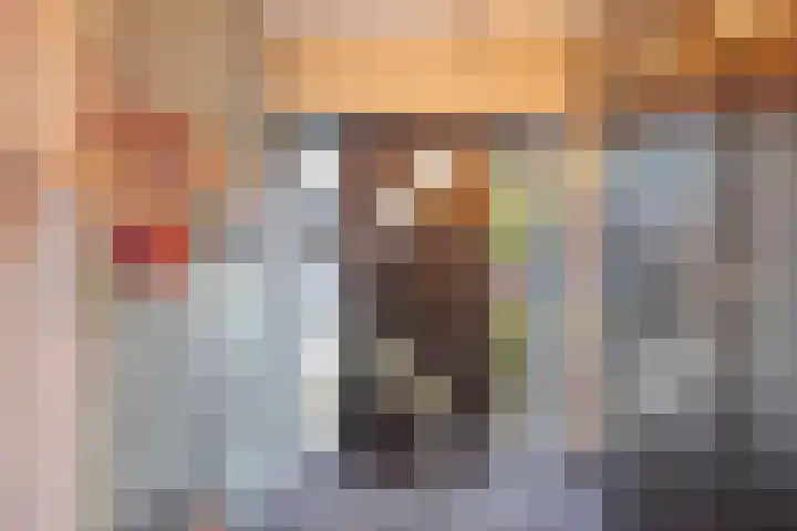 Carel van Manderdreef 32 Oosterhout thumbnail 5