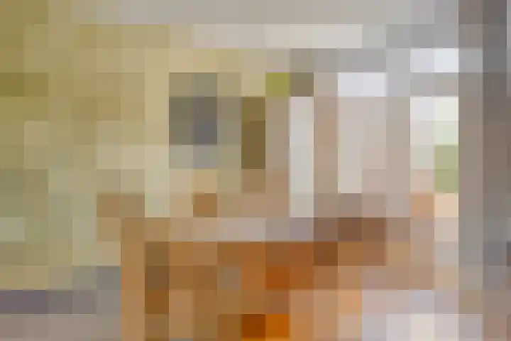 Carel van Manderhof 5 Goor thumbnail 11