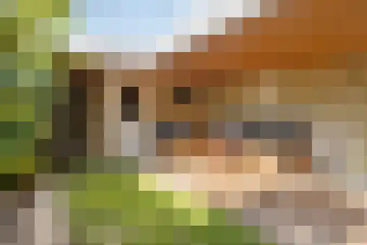 Carel van Manderhof 5 Goor thumbnail 27