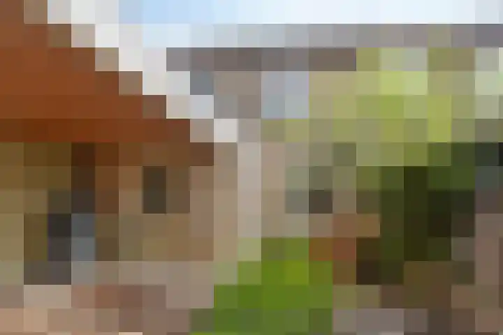 Carel van Manderhof 5 Goor thumbnail 30