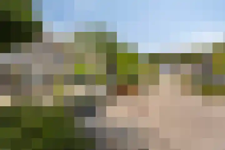 Carel van Manderhof 5 Goor thumbnail 31