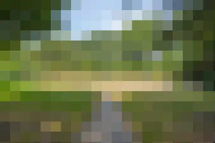 Carel van Manderhof 5 Goor thumbnail 32