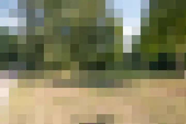 Carel van Manderhof 5 Goor thumbnail 33