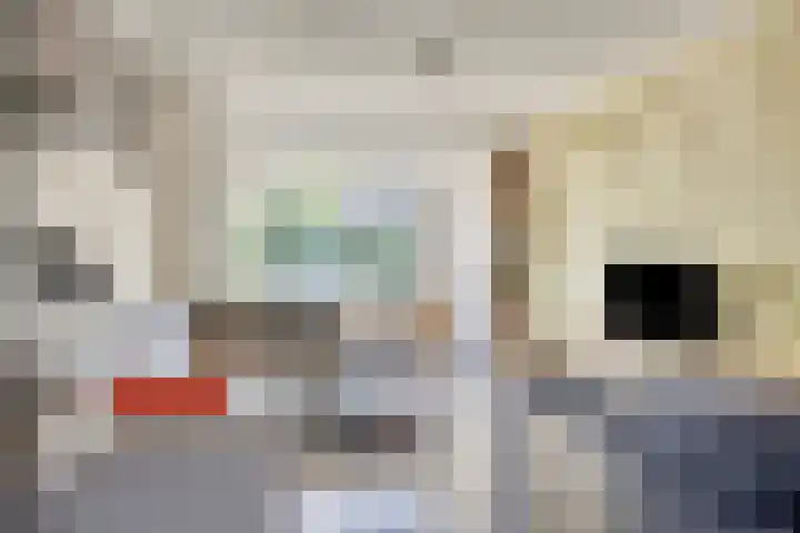 Carel van Manderhof 5 Goor thumbnail 6