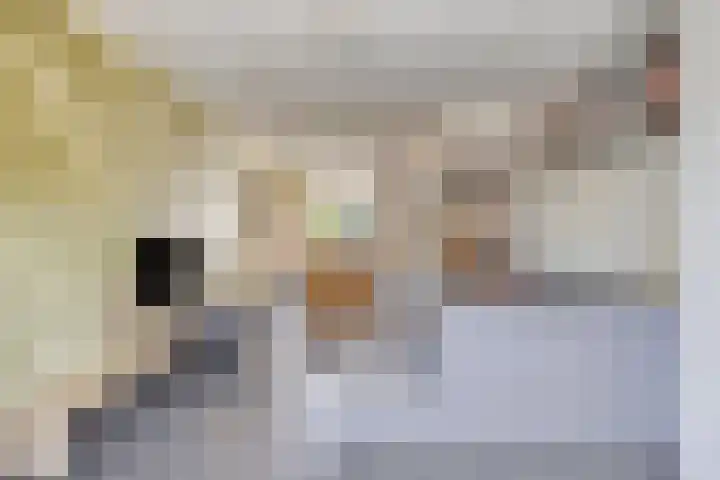 Carel van Manderhof 5 Goor thumbnail 8