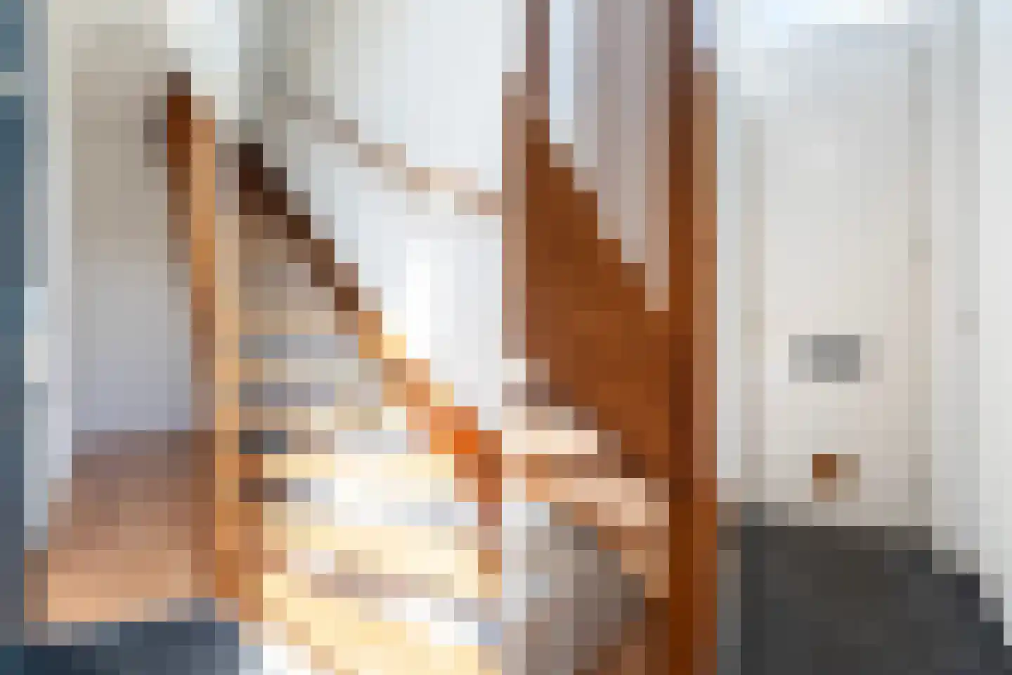 Carel van Manderstraat 1 a Leeuwarden thumbnail 12