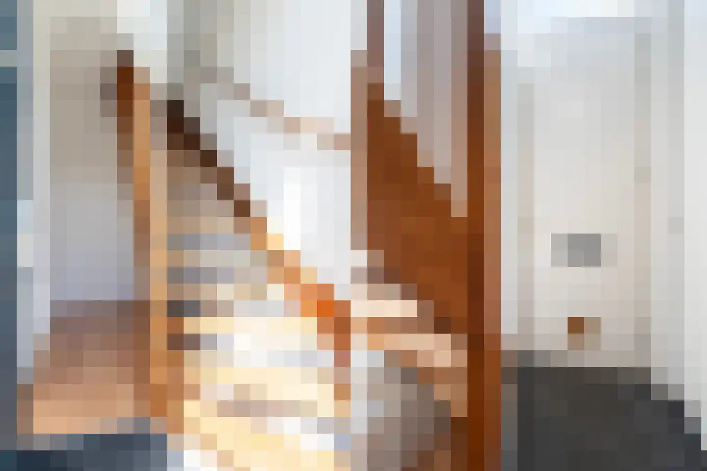 Carel van Manderstraat 1 a Leeuwarden thumbnail 13