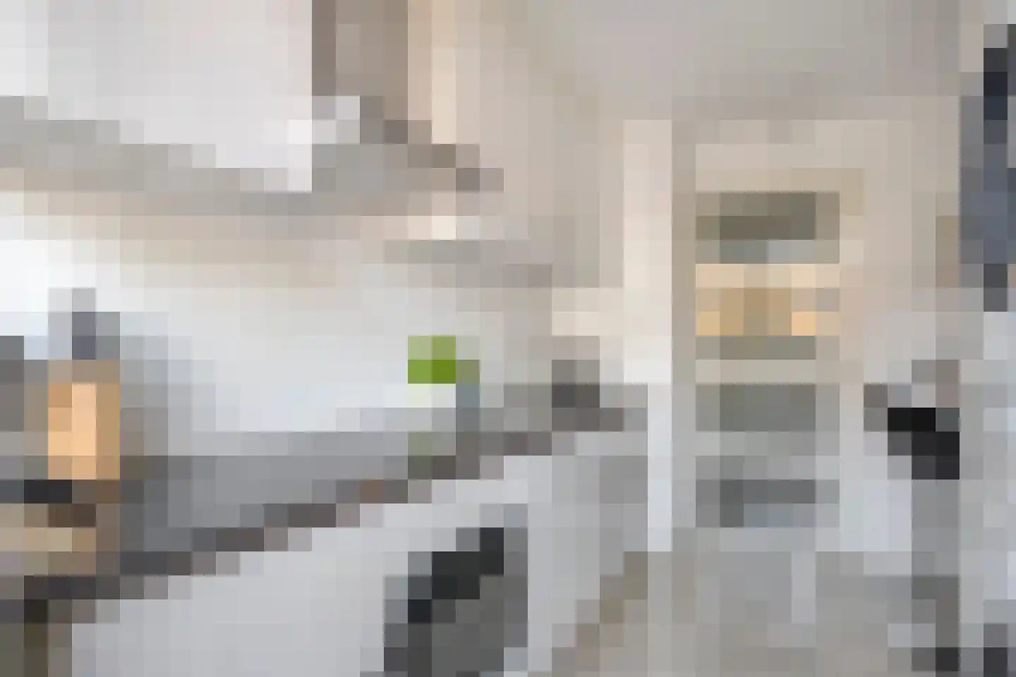 Carel van Manderstraat 100 Heemskerk thumbnail 10