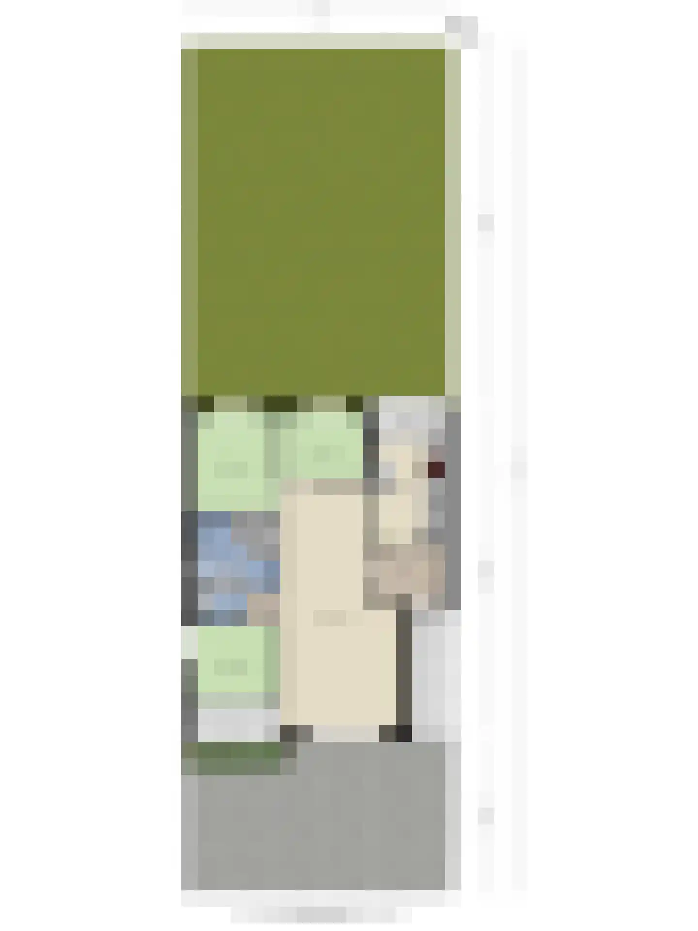 Carel van Manderstraat 100 Heemskerk thumbnail 30