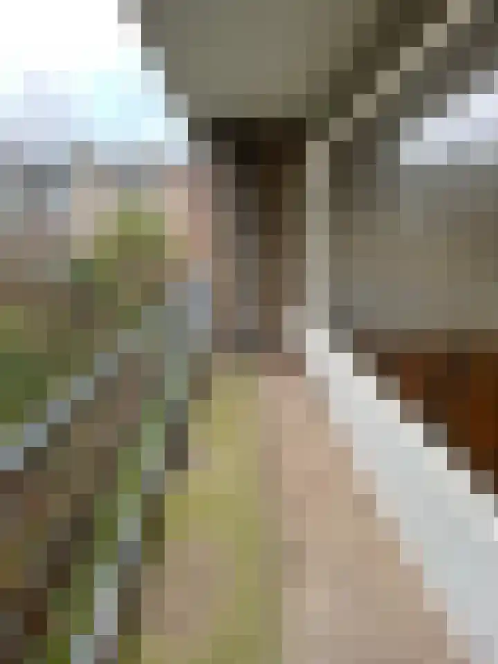 Carel van Manderstraat 25 Heemskerk thumbnail 17