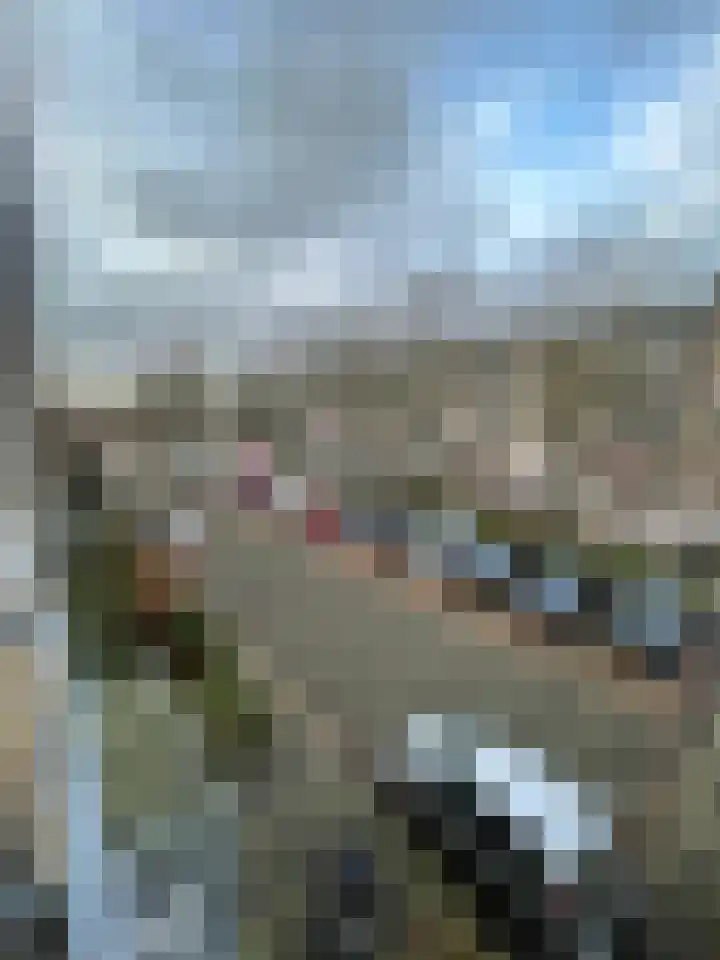 Carel van Manderstraat 25 Heemskerk thumbnail 5
