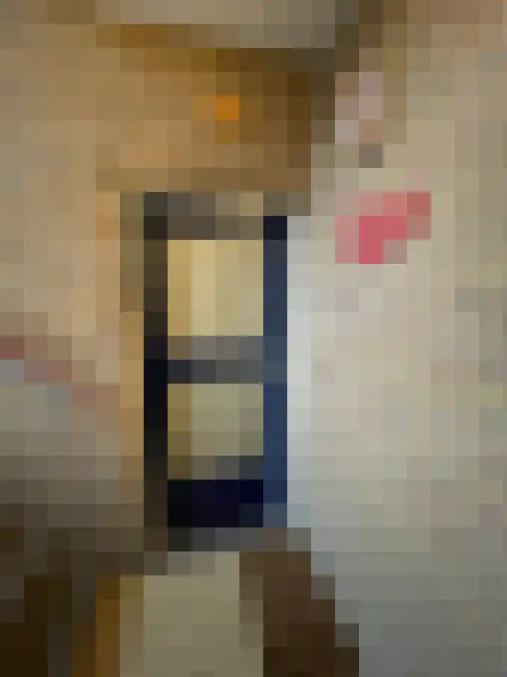 Carel van Manderstraat 25 Heemskerk thumbnail 6