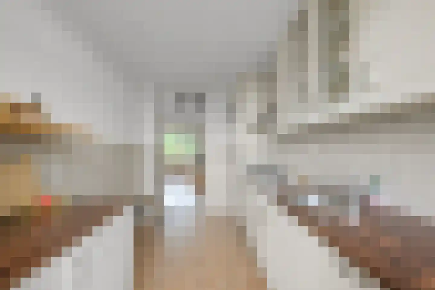 Carel van Manderstraat 45 Heemskerk thumbnail 17