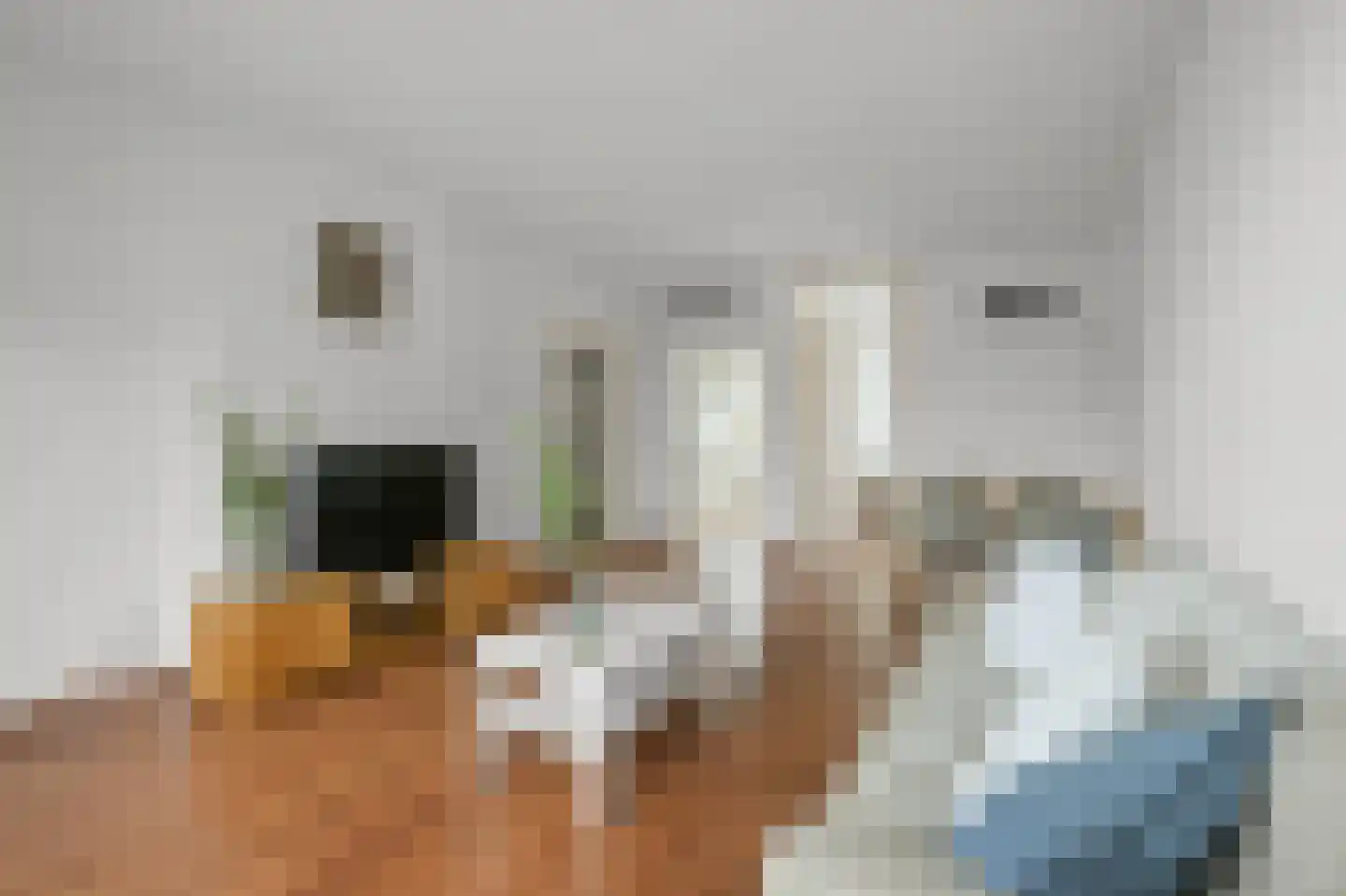 Carel van Manderstraat 45 Heemskerk thumbnail 9