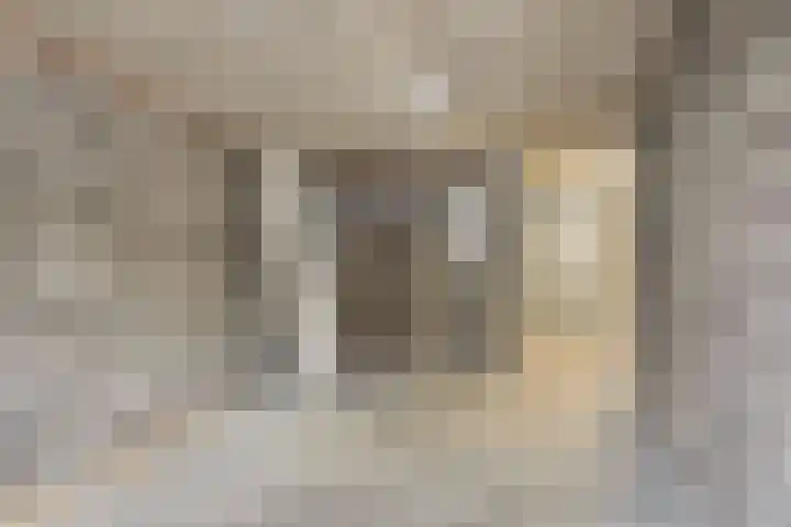 Carel van Manderstraat 46 Heemskerk thumbnail 21