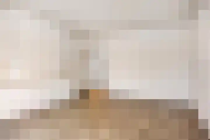 Carel van Manderstraat 46 Heemskerk thumbnail 4