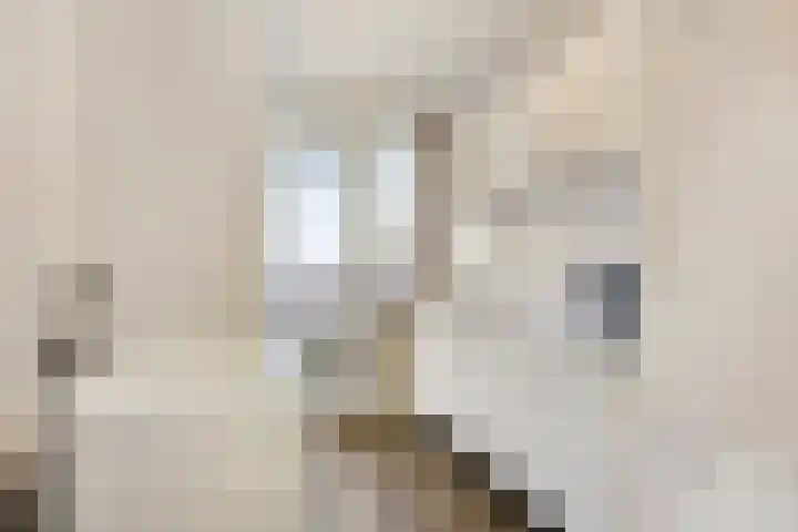 Carel van Manderstraat 46 Heemskerk thumbnail 8