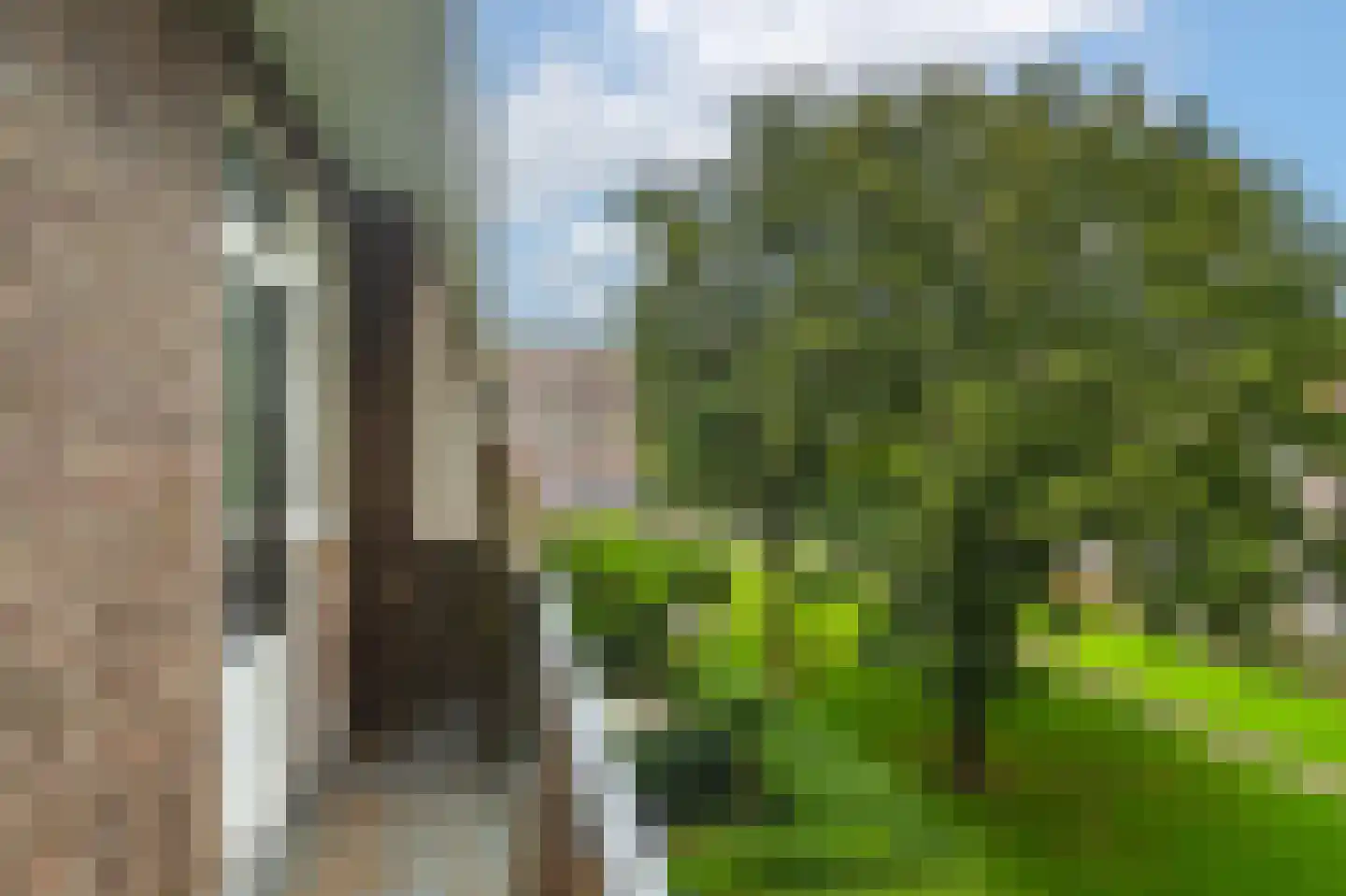 Carel van Nieveltstraat 21 C Rotterdam thumbnail 19