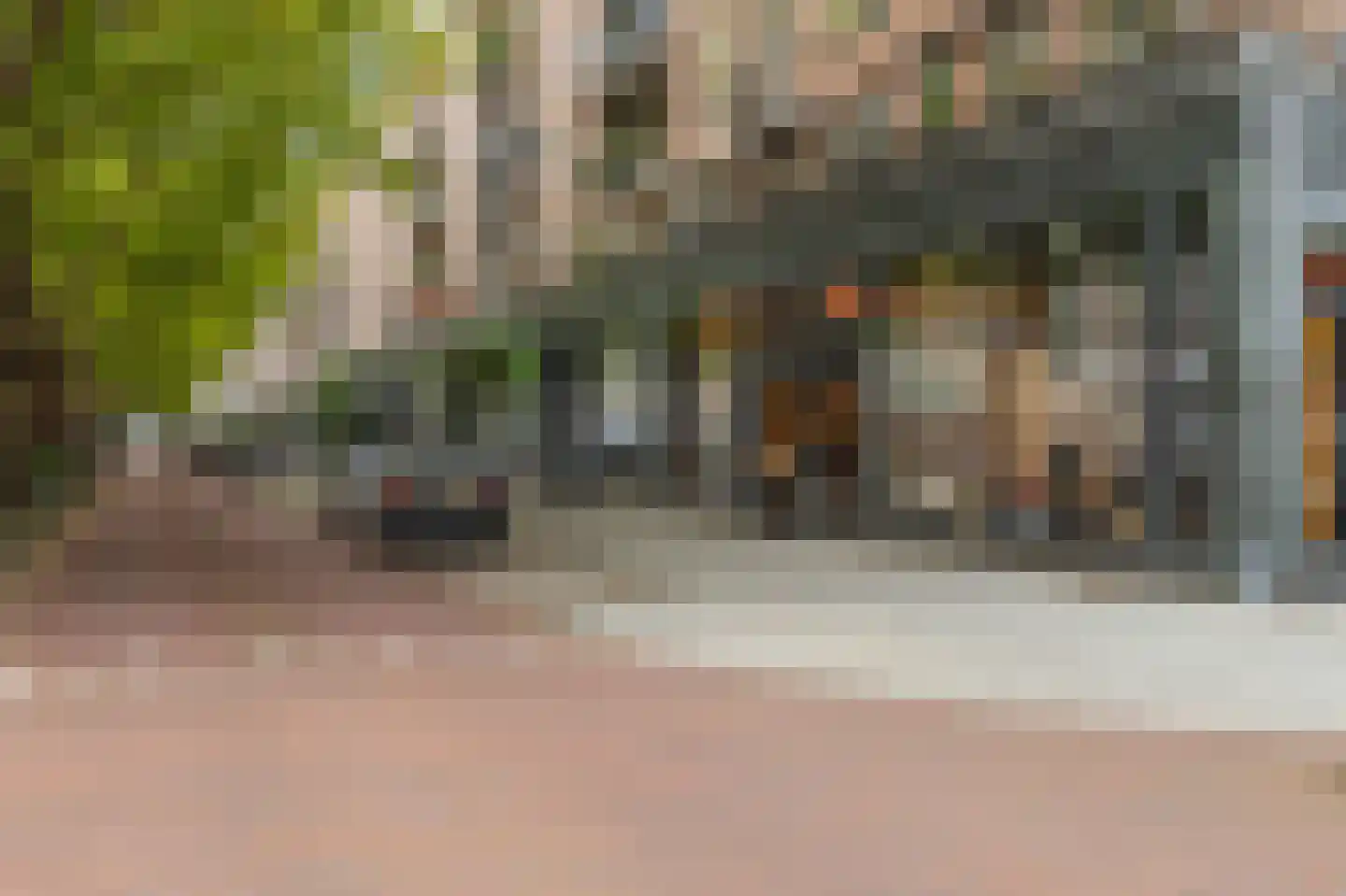 Carel van Nieveltstraat 21 C Rotterdam thumbnail 24