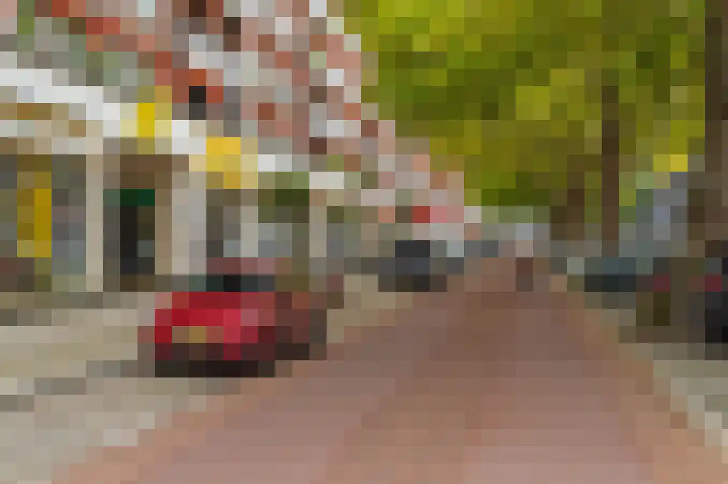 Carel van Nieveltstraat 21 C Rotterdam thumbnail 25