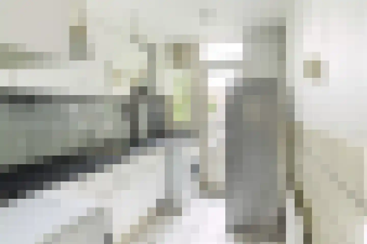 Carel van Nieveltstraat 21 C Rotterdam thumbnail 7