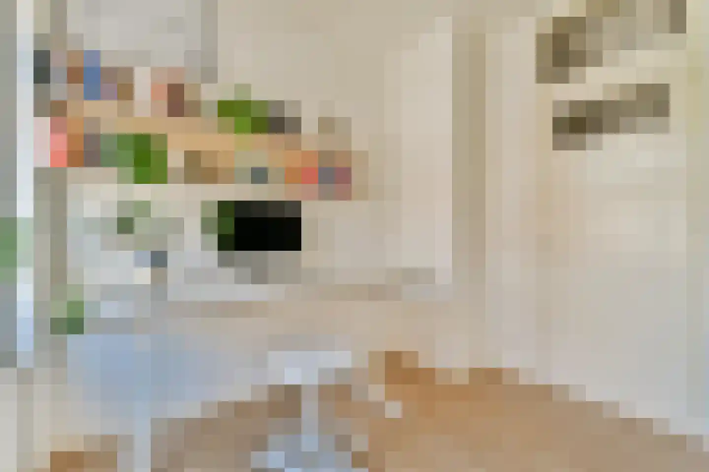 Carel van Nieveltstraat 6 B Rotterdam thumbnail 14