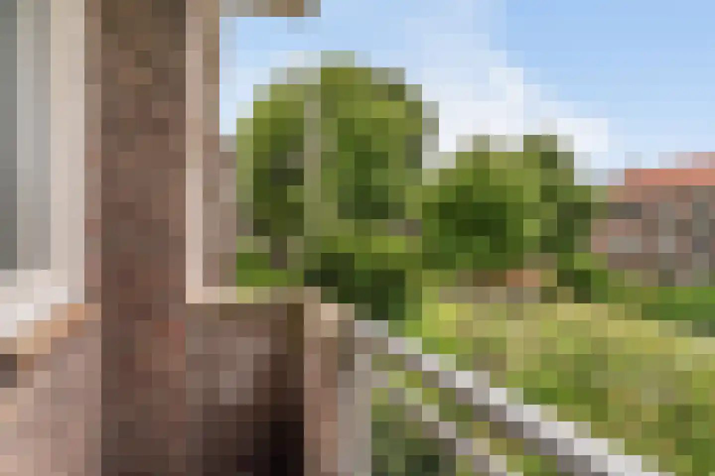Carel van Nieveltstraat 7 A Rotterdam thumbnail 21