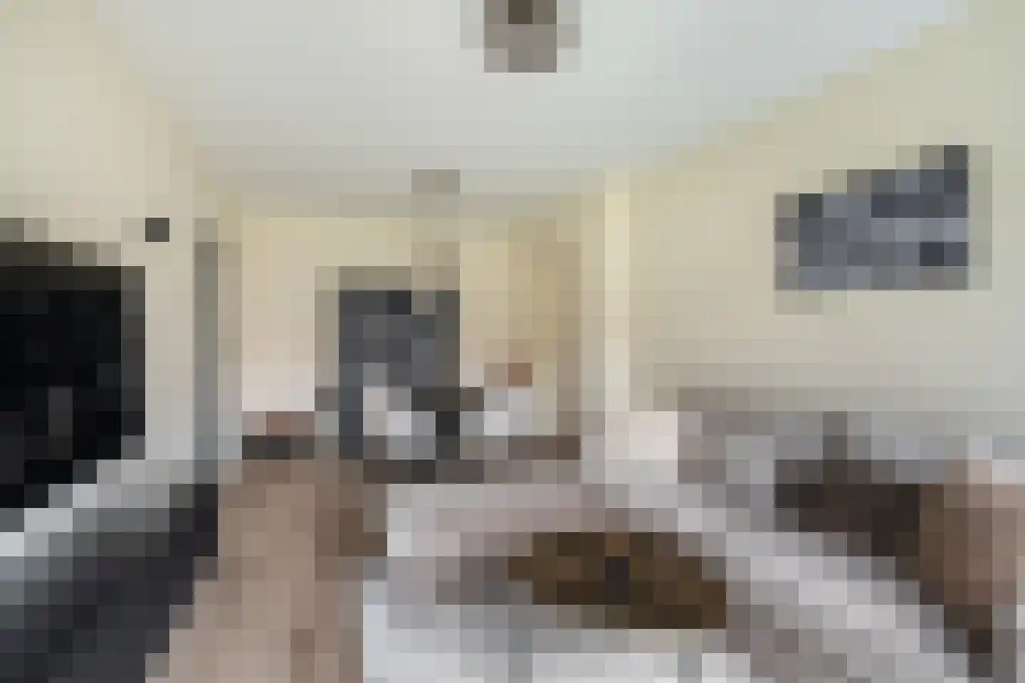 Carel van Nieveltstraat 7 A Rotterdam thumbnail 8