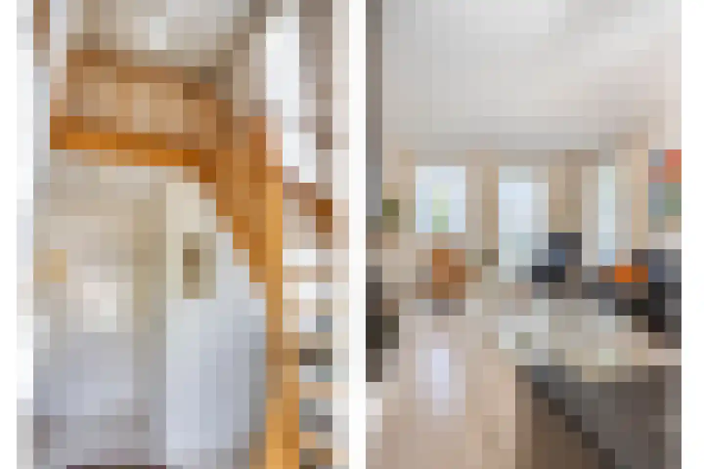 Carel Vosmaerdreef 1 Goirle thumbnail 10
