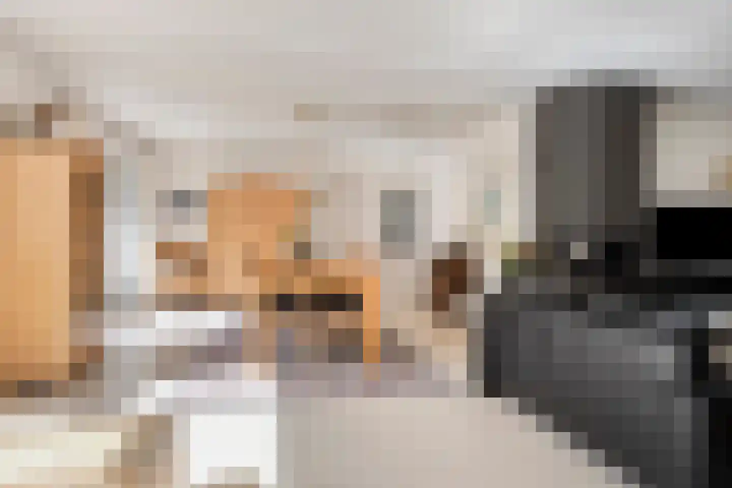 Carel Vosmaerdreef 1 Goirle thumbnail 16