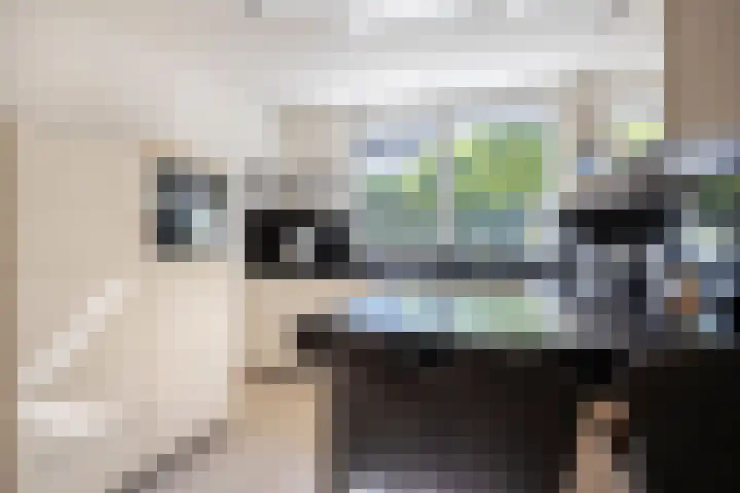 Carel Vosmaerdreef 1 Goirle thumbnail 21