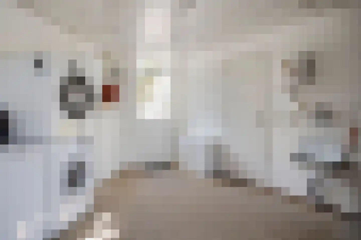 Carel Vosmaerdreef 1 Goirle thumbnail 26