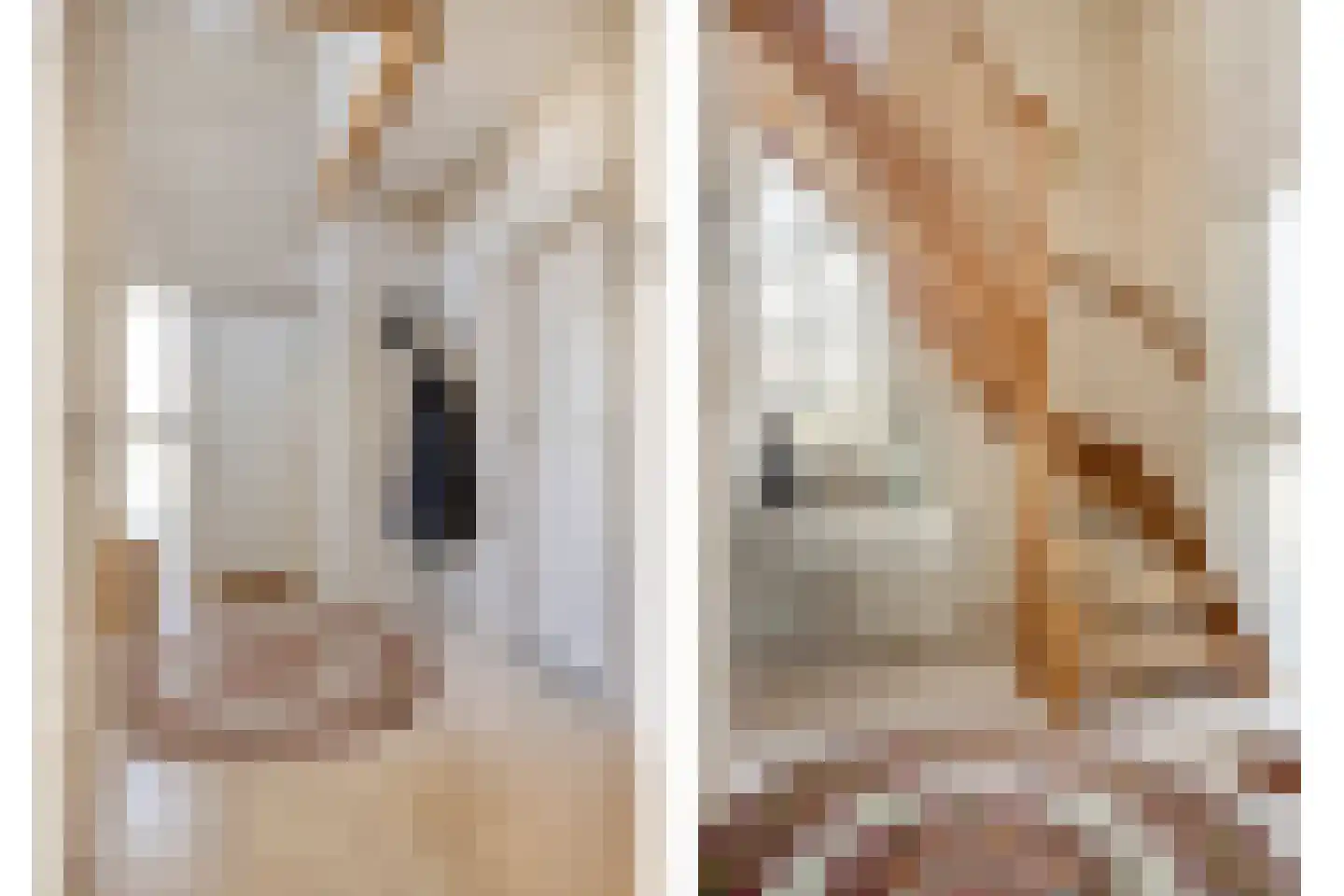 Carel Vosmaerdreef 1 Goirle thumbnail 28